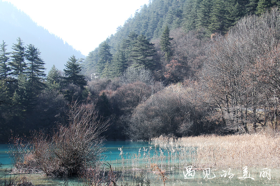 如果一生只去一个古城,一生去一次九寨沟