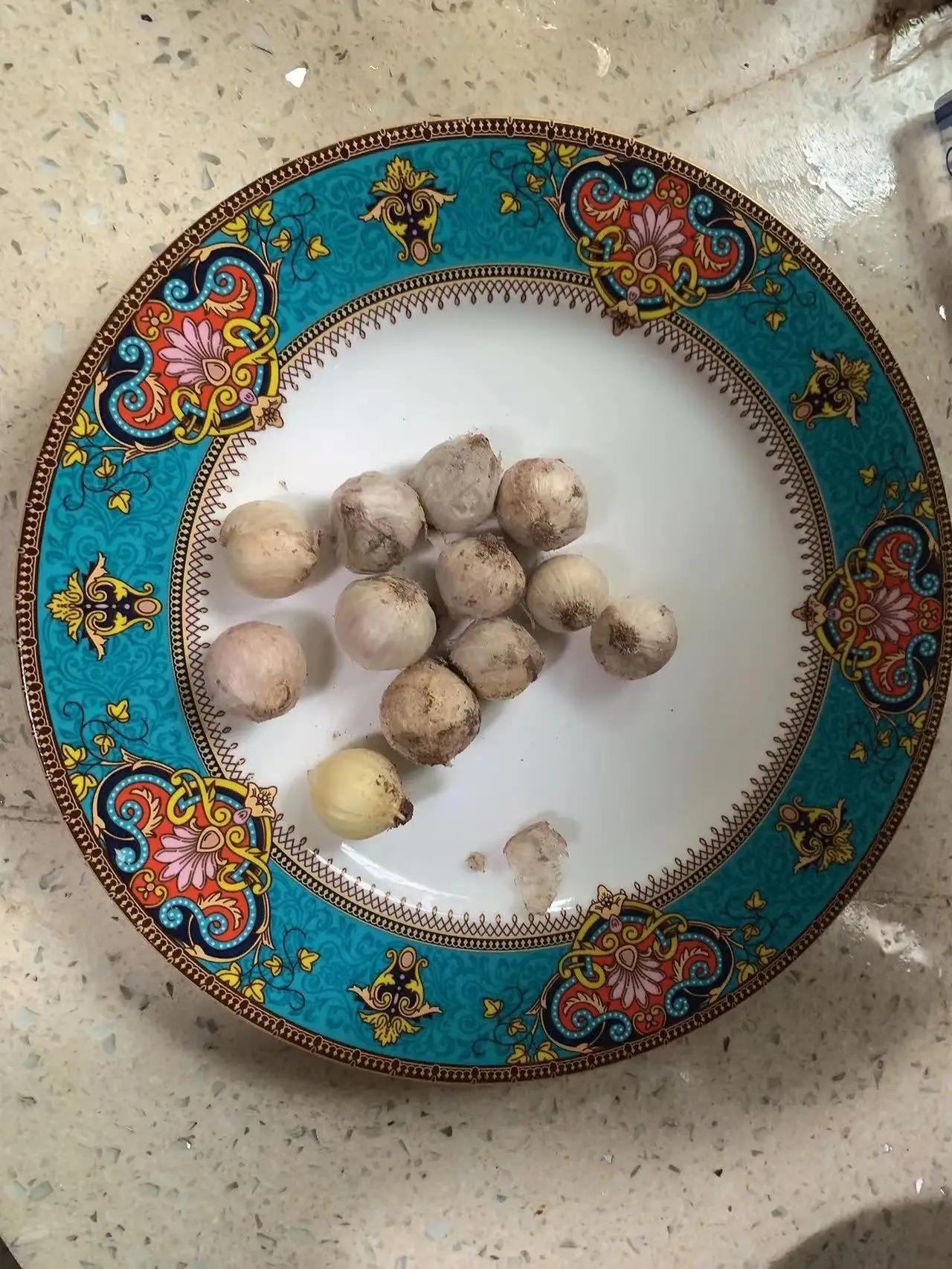 我和我的二婚老婆的异地之恋