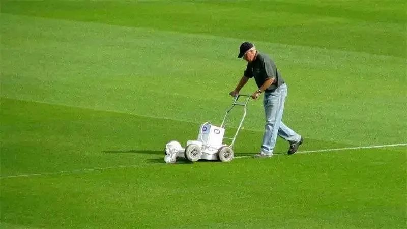 用一块草皮影响欧洲杯战绩？是时候出场了，低调的草皮管理大师