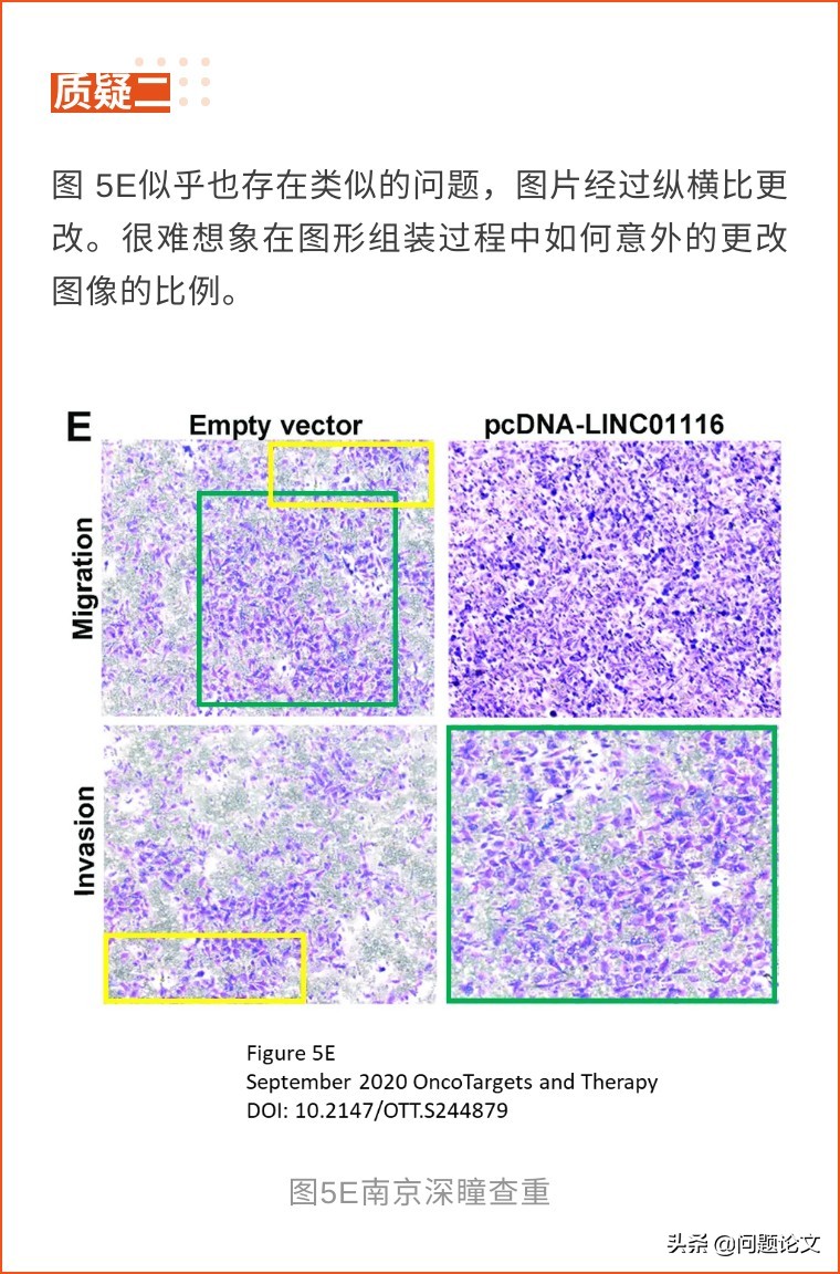 尺子是真的所以实验都是真的，南京医科大学第二附属医院回应质疑