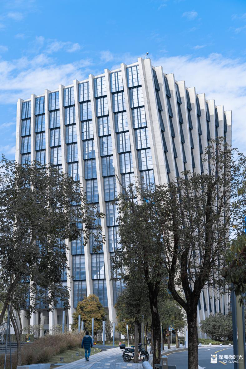 深圳开通旅行观光巴士,深圳双层巴士观光线