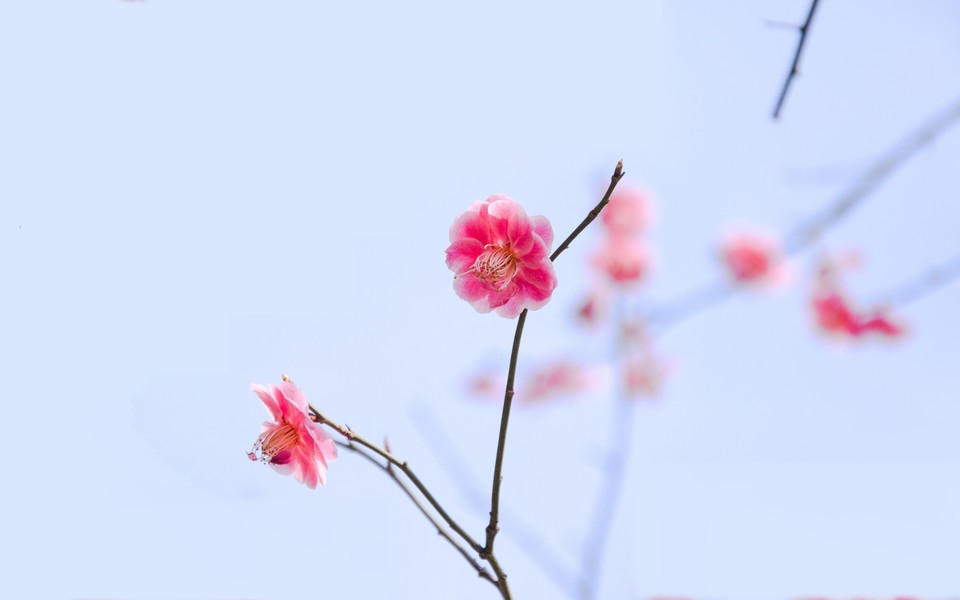 一支口红让我想起了前男友,仅凭一支口红就知道老公出轨