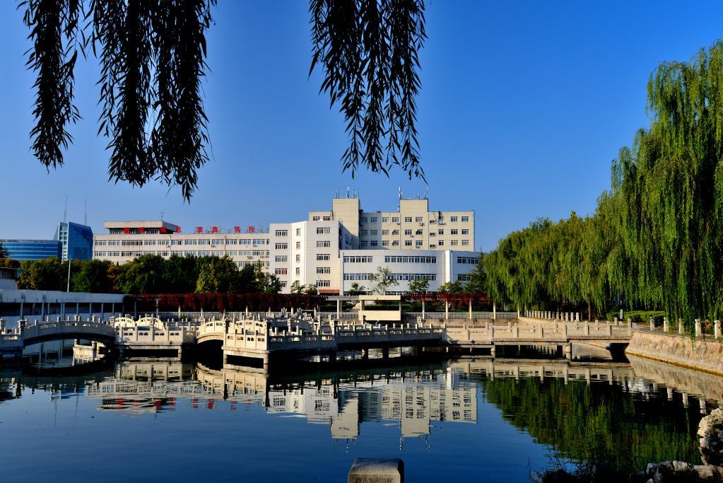 西安石油大学设计类高考分数线,2021年西安石油大学艺术类分数线