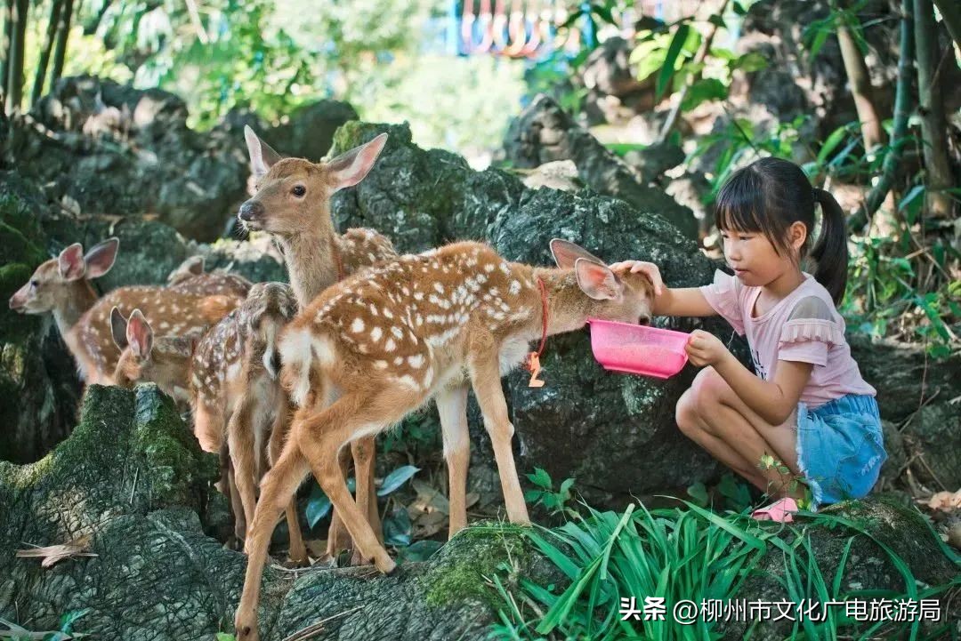 五一柳州旅游攻略推荐,柳州小众景点游玩攻略大全