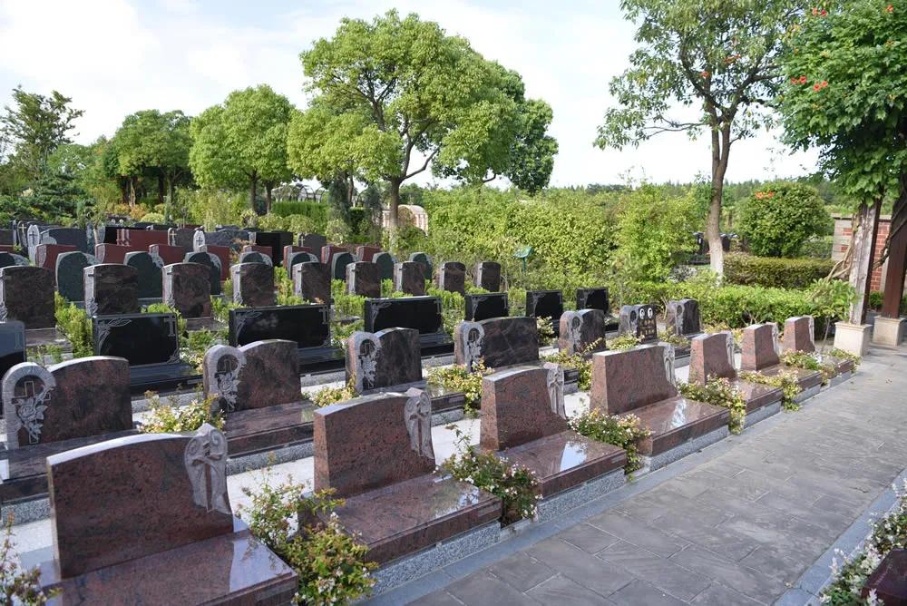 青浦的福寿园与滴水湖的福寿园,青浦福寿园与临港福寿园区别