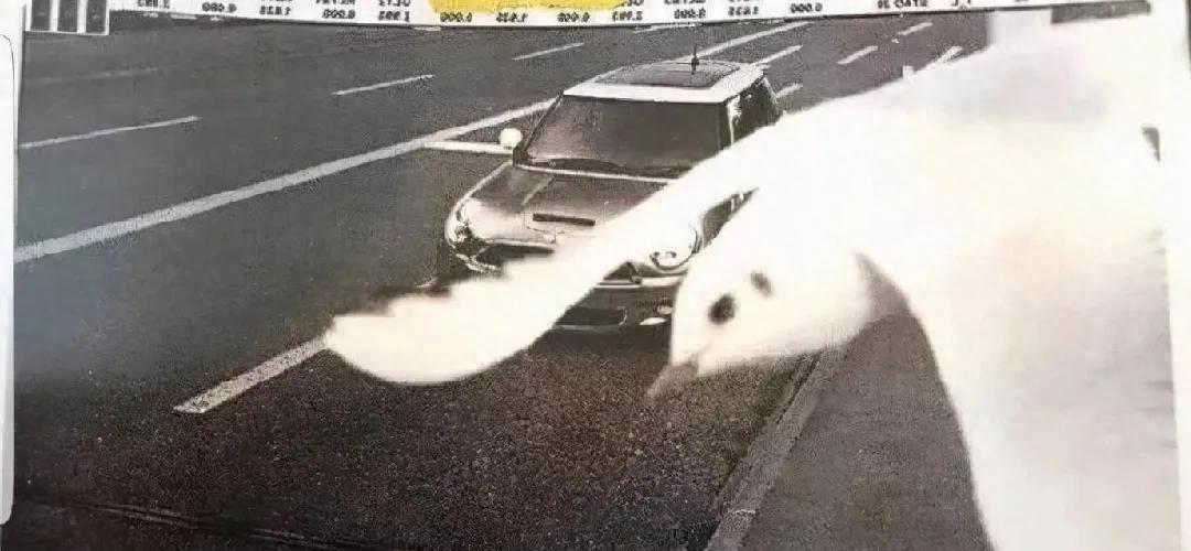 世界最罕见的女人图片高清,最罕见的30张照片女性