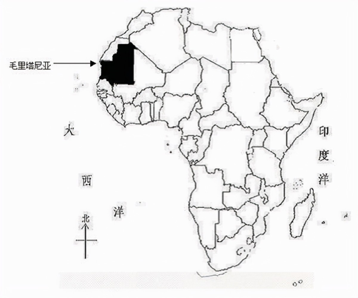 非洲有一体重300斤的“美女苏珊”,2000年,丈夫辞职在家陪妻子