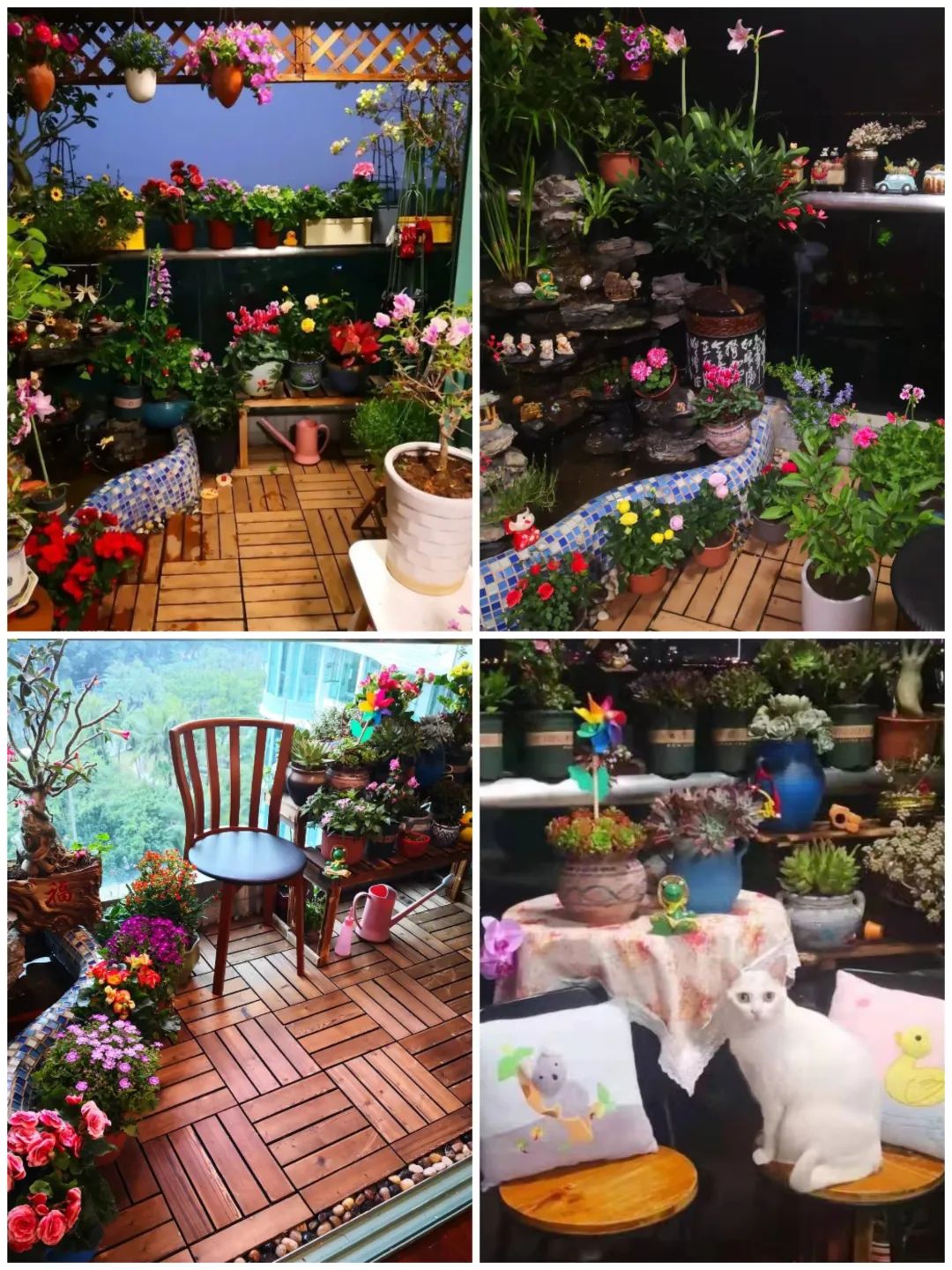 很多人羡慕的阳台,让别人羡慕的阳台