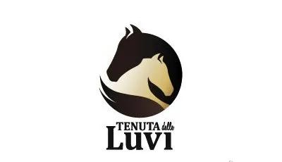 有关马的品牌logo设计,马logo创意设计图片大全