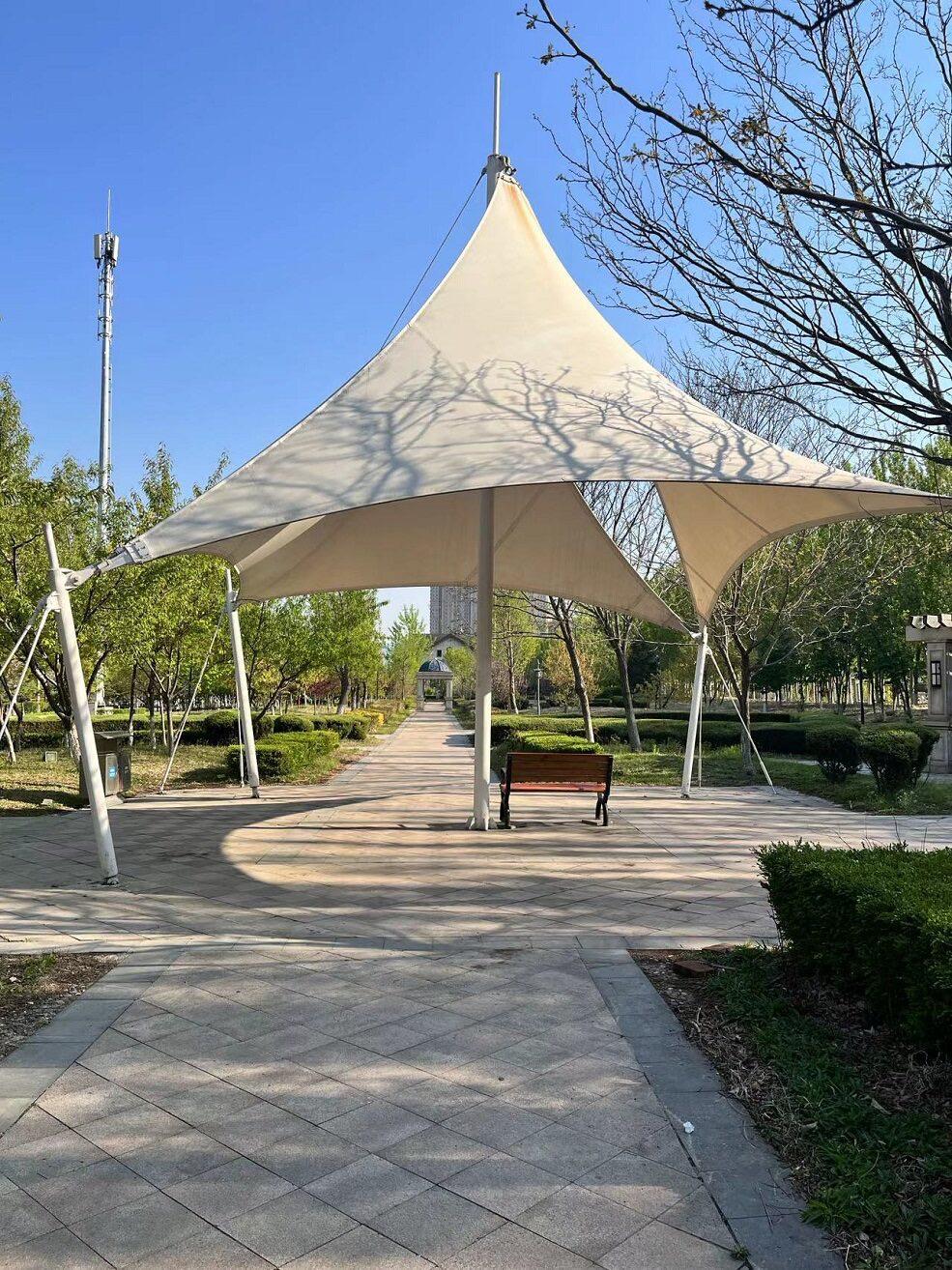 漫步南沙河，又是被“圈粉”的一天