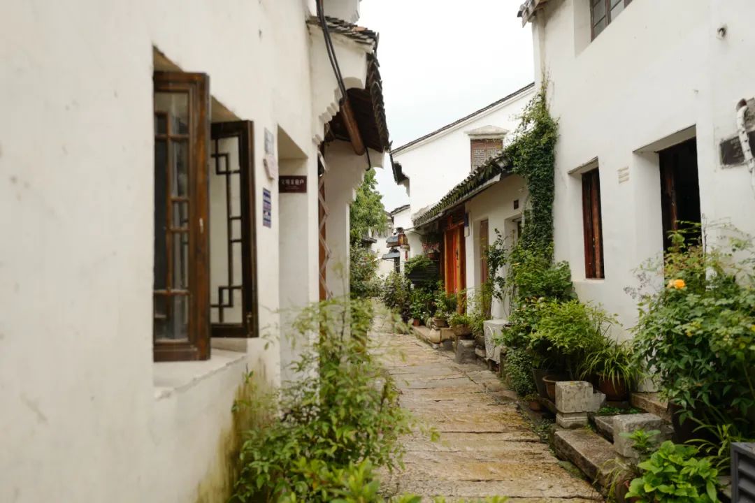 我去竹林避暑了，夏天过完再通知我！