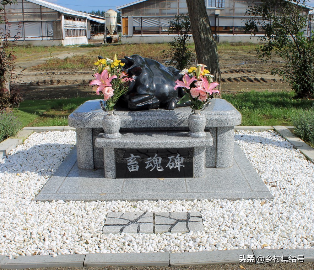 日本埼玉种畜牧场：被称为“农业迪士尼乐园”，三产融合典型！