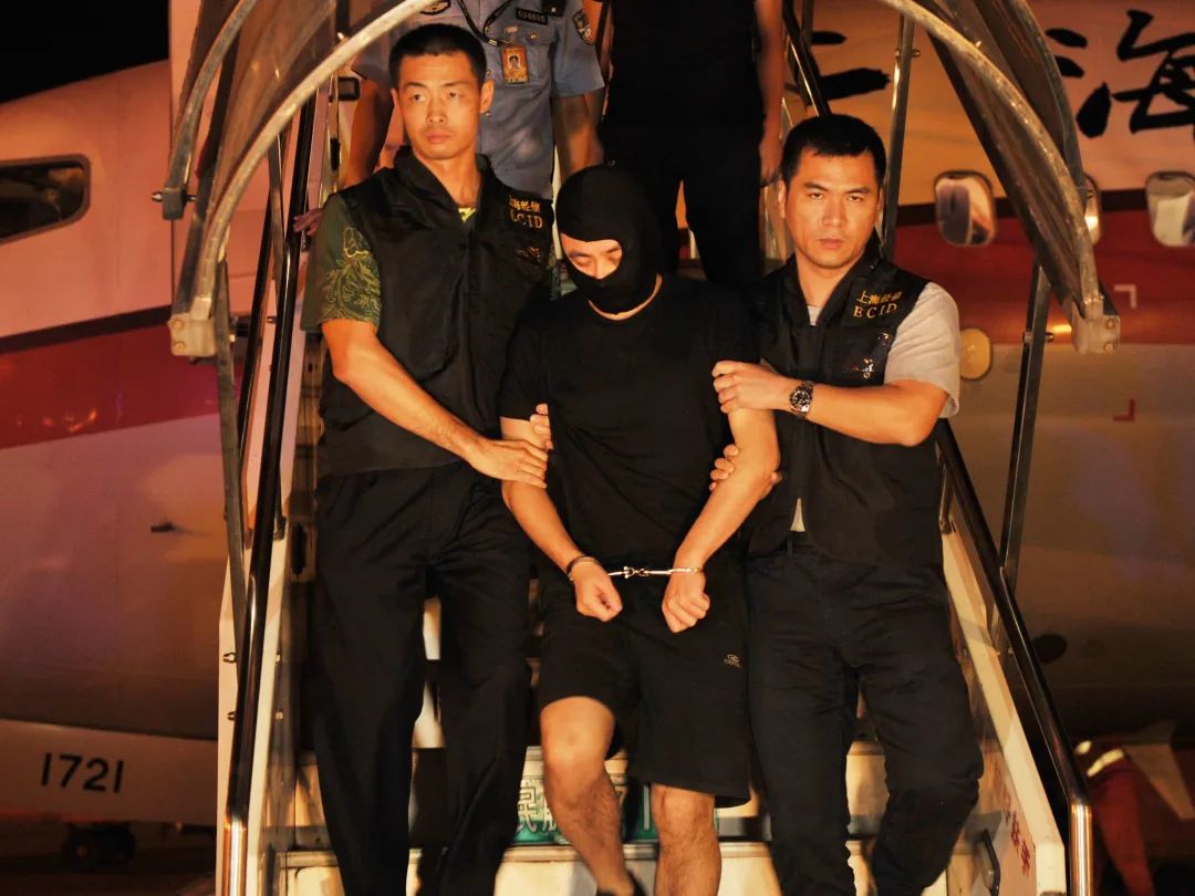 百日行动警方查处,百日行动公安持续破案