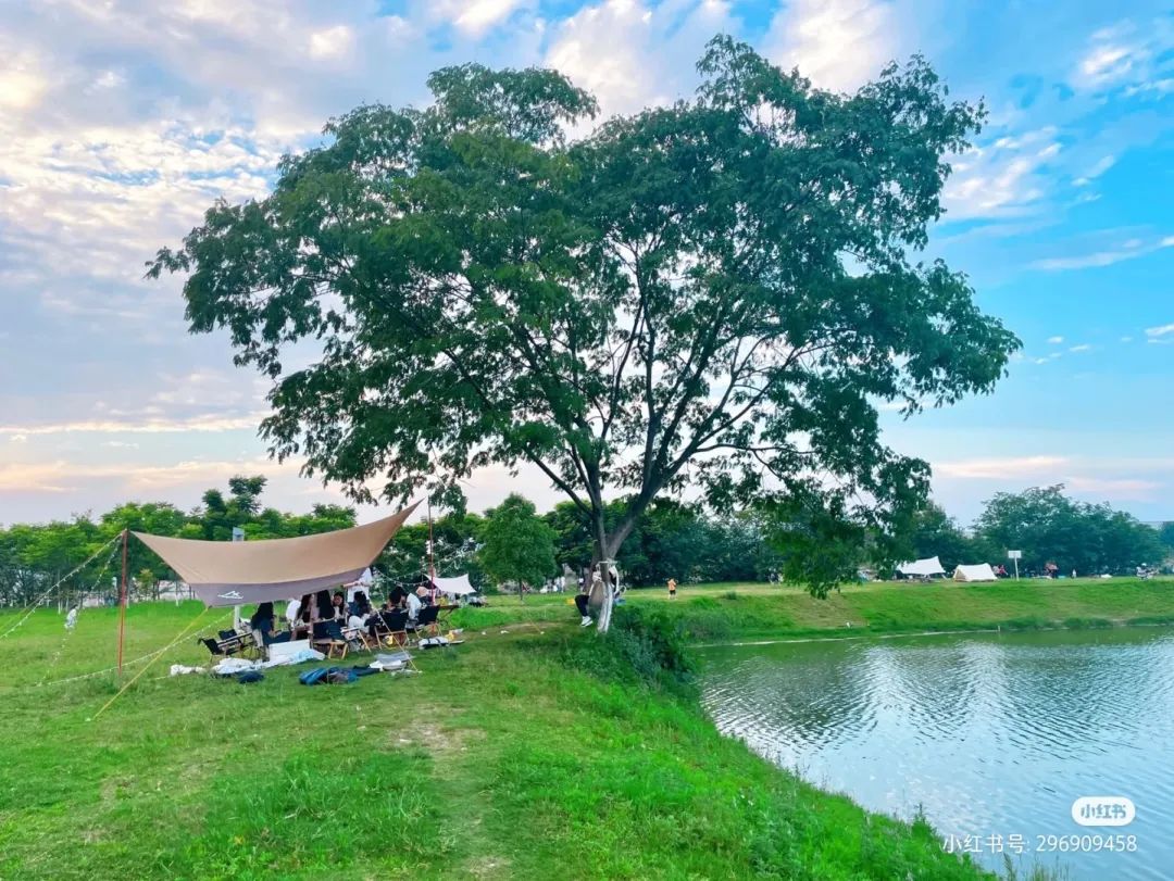 成都免费露营地推荐过夜,成都周边露营地推荐自驾