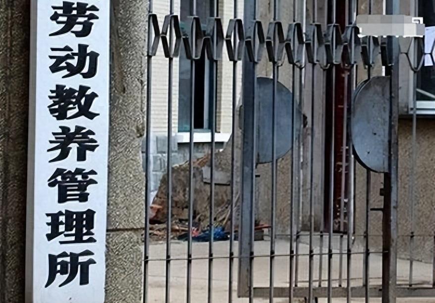 被强制抓进精神病院怎么打官司,河南农妇被关精神病院