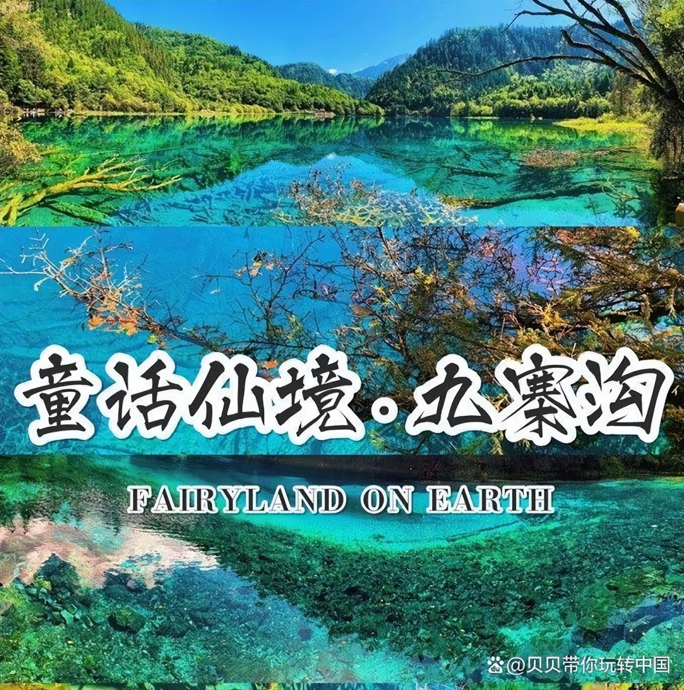 成都旅游3-4天跟团优惠套餐,成都旅游要跟团吗