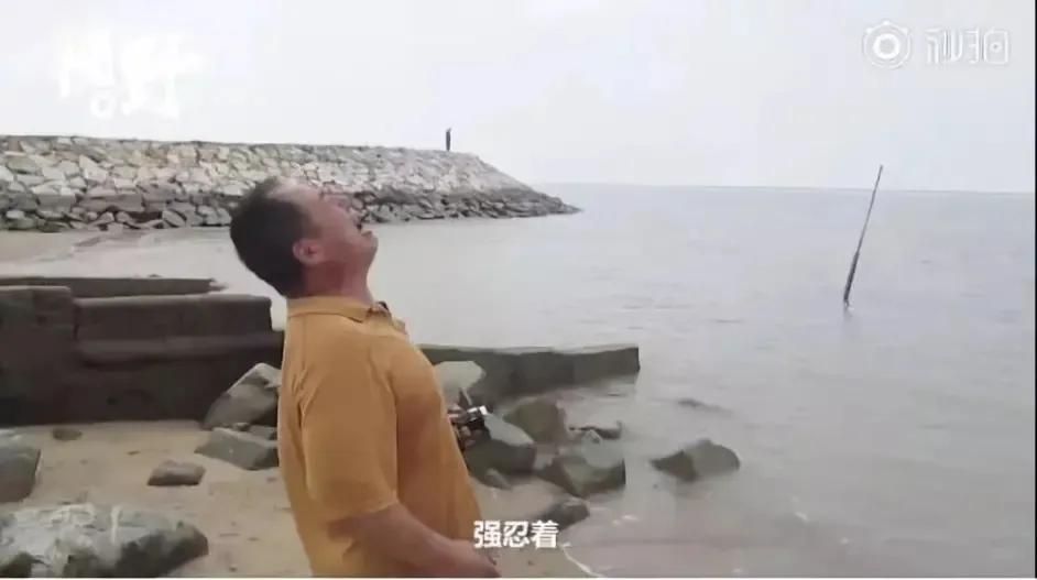 马航mh370失联事件最终结果公布,马航mh370失联的科学家有哪些