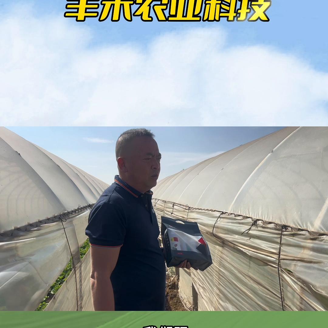 多学习，少走弯路莴苣类虫害组合，视频有点长耐心观看...