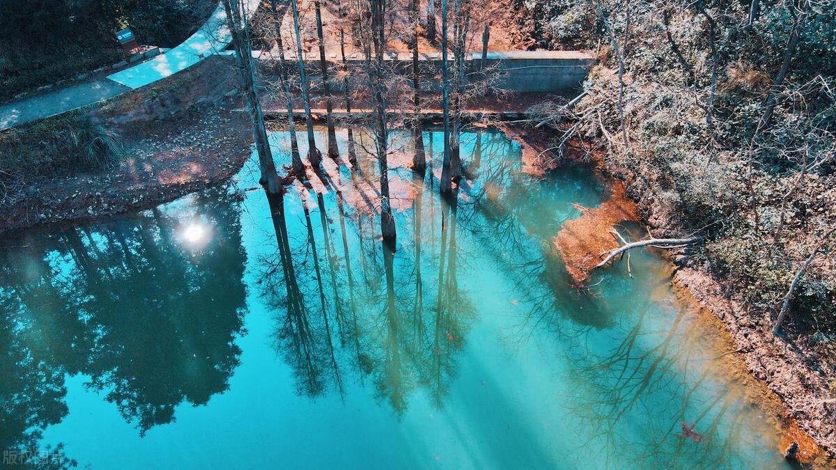 长沙哪个公园风景最美,长沙最值得去的公园是哪里