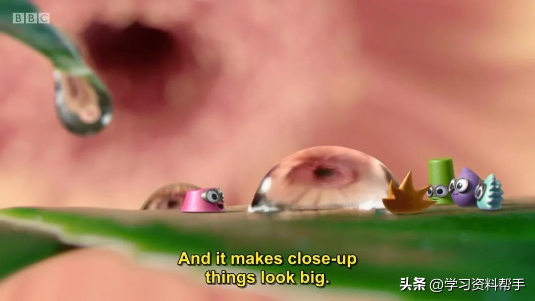 科普动画《TinyWonders小奇迹》，带娃换个角度观察和认知世界！