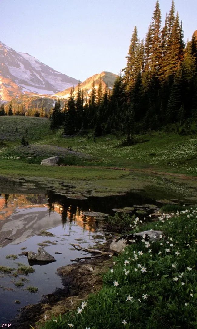 太美了100张人间美照,太美了最美中国红