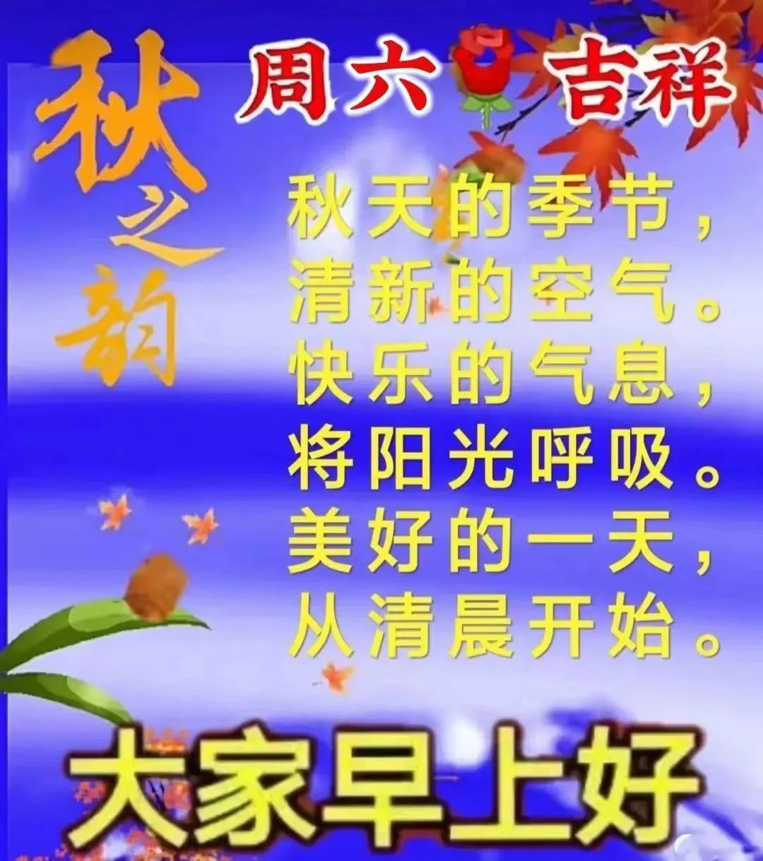 九月早上祝福,九月九早上好的祝福视频