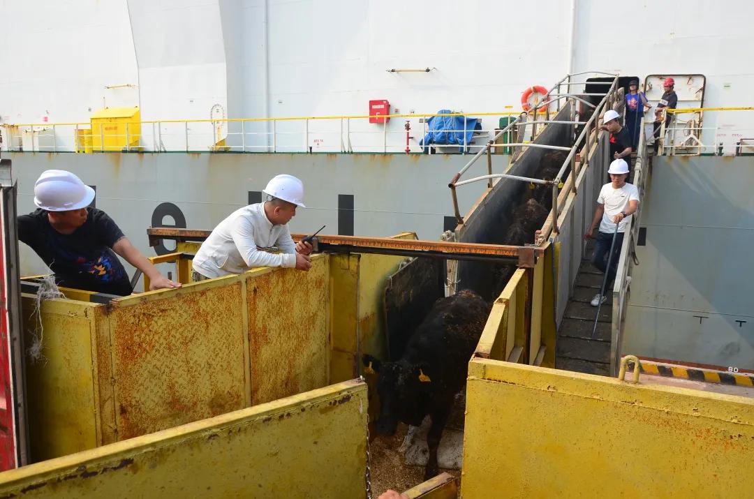 创新创业合同范本,滨海区创新创业政策