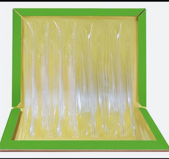 粘鼠板的诱鼠剂成分,粘鼠板的诱鼠剂怎么用