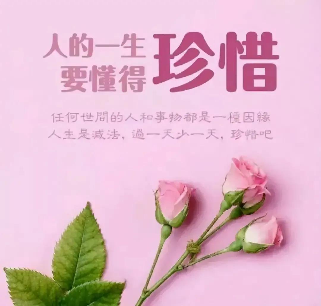 庚子日柱2023年癸卯年运势,癸卯年2023年哪个月出生最好