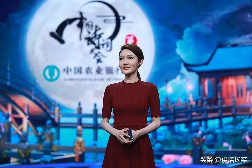 中国诗词大会第六季开场白完整版,中国诗词大会第六季第一场开场白