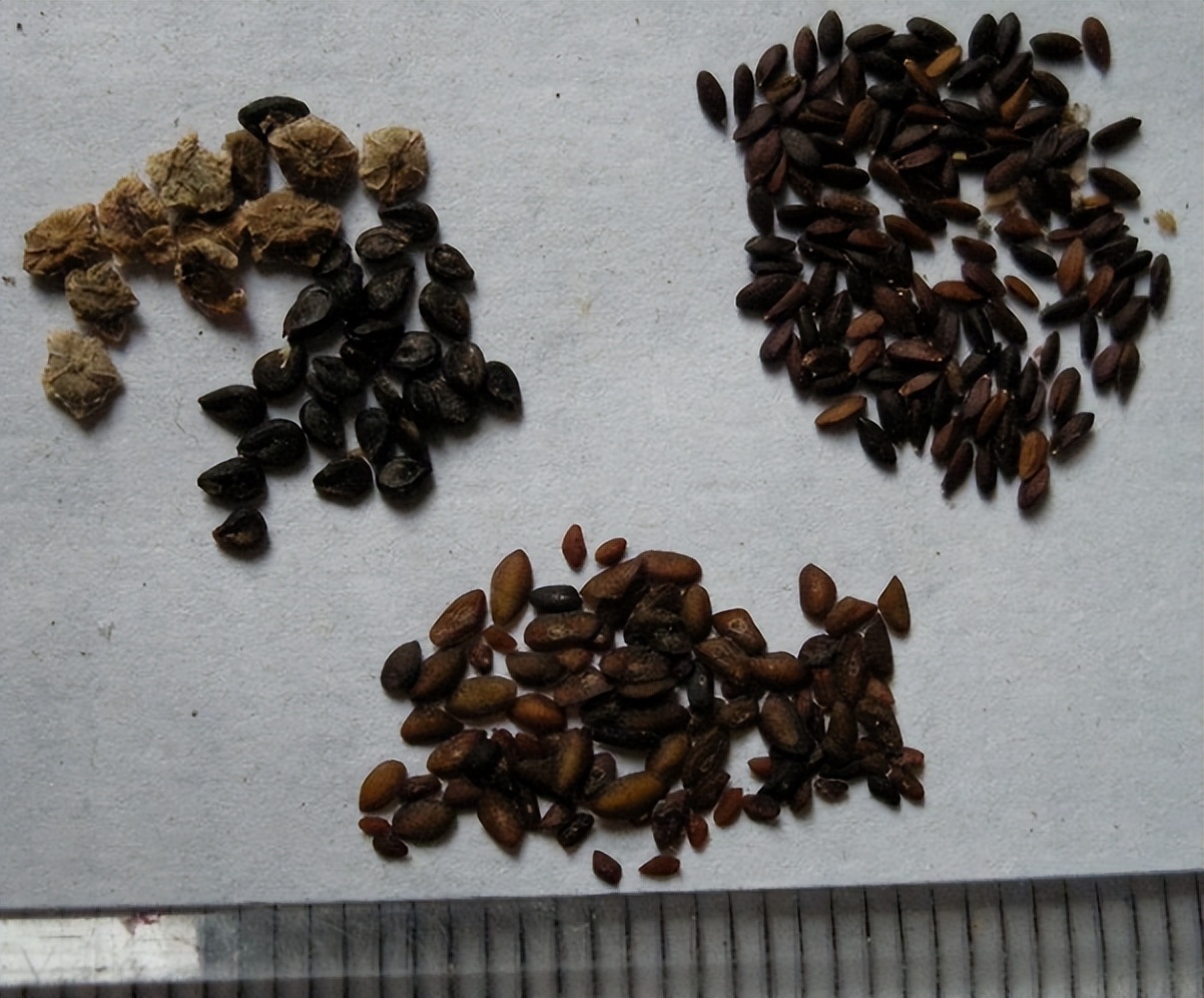 带你认识识别各种车,识别车前子