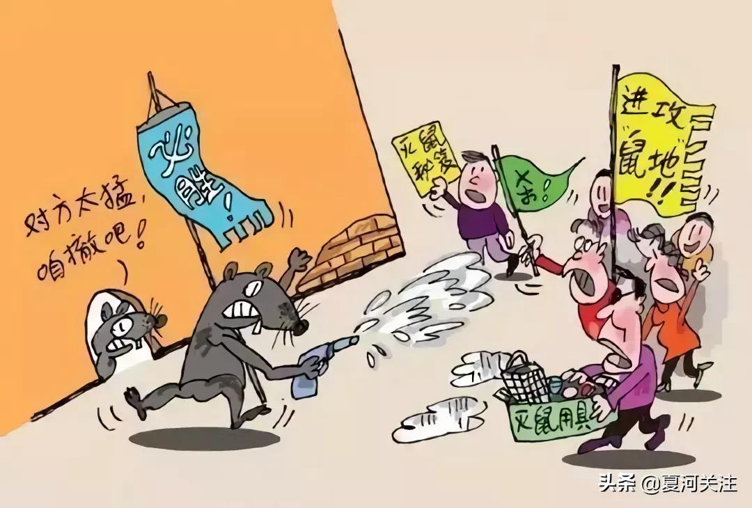 预防流行性出血热视频,幼儿园出血热疾病预防