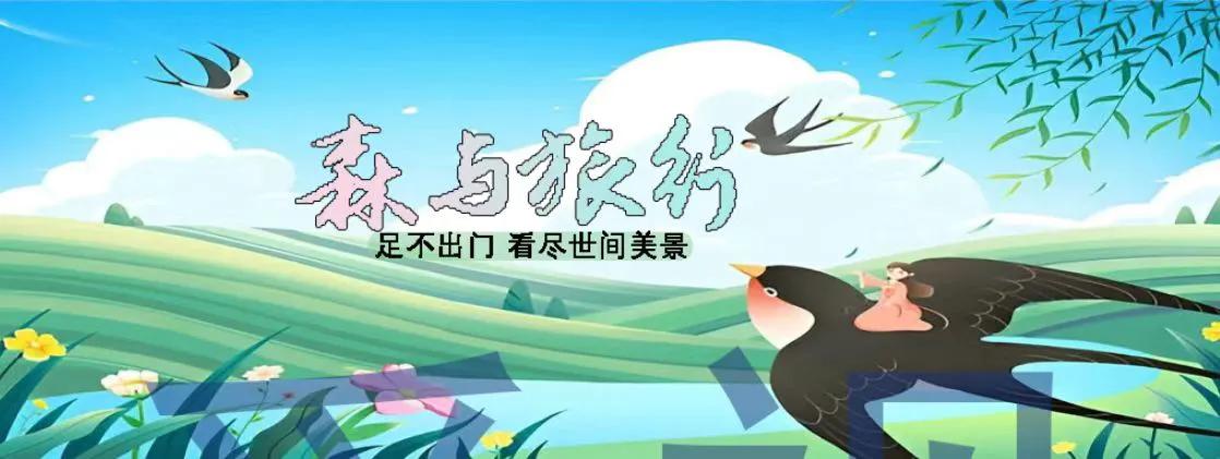 浙江最值得去的旅游景点排名,浙江旅游必去十大景点排名最新