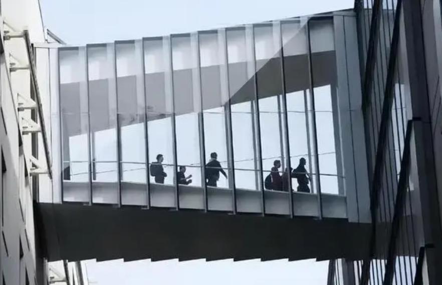 马斯克裁员最新消息,马斯克解雇推特员工补偿了吗