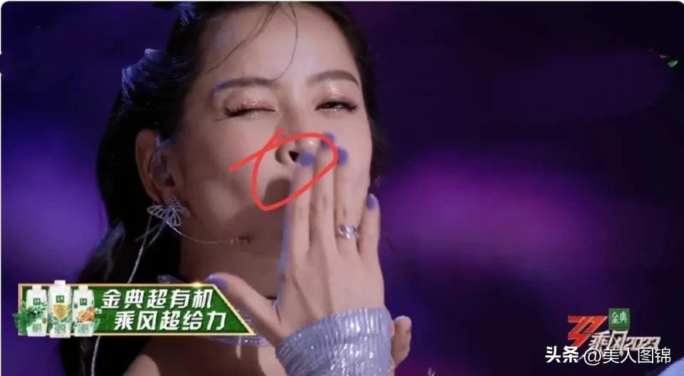 越南芝芙,芝芙越南