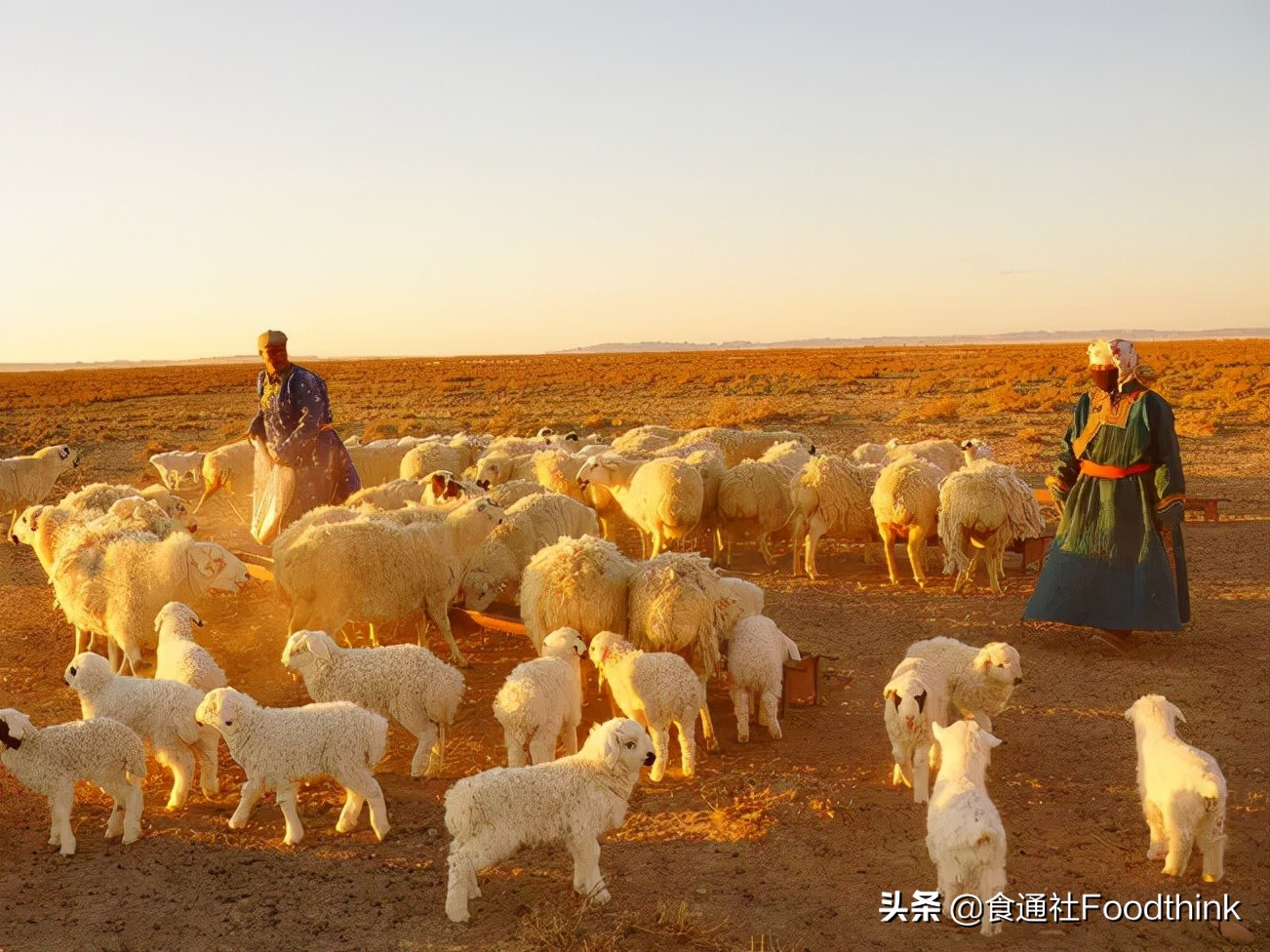 工业化养殖全过程,工业化养殖的最佳方式