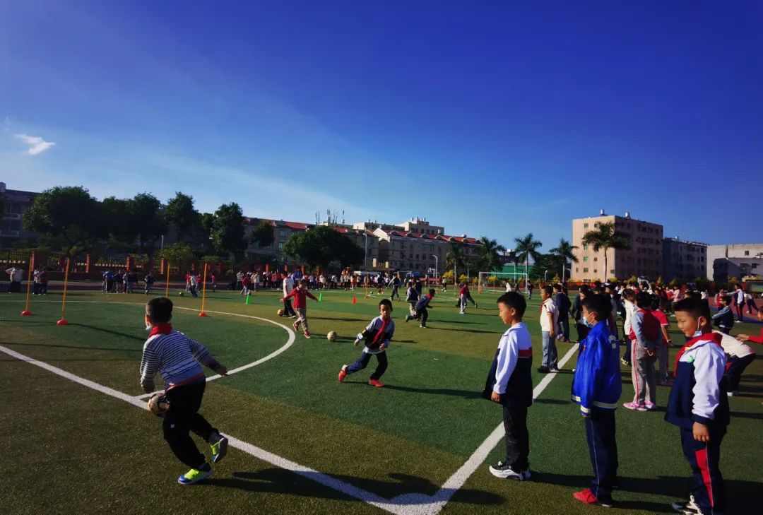 我们的校园,美丽的厦门何厝小学