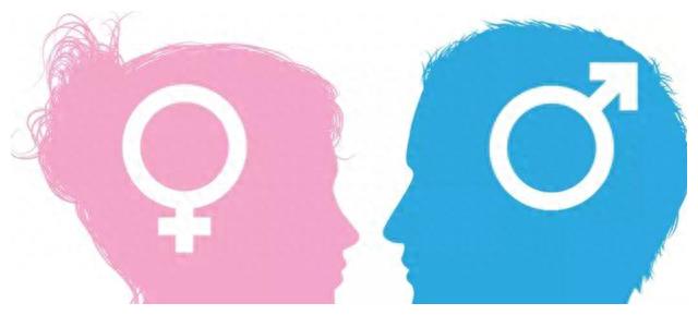 同绘美丽画卷共享生态福祉