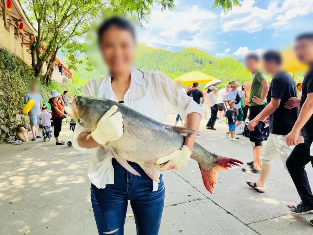 黄山杨家寨渔乐节,渔你相约优惠