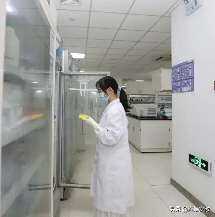 中国医学科学院治疗恶性肿瘤,中国科研免疫细胞治疗未来的发展