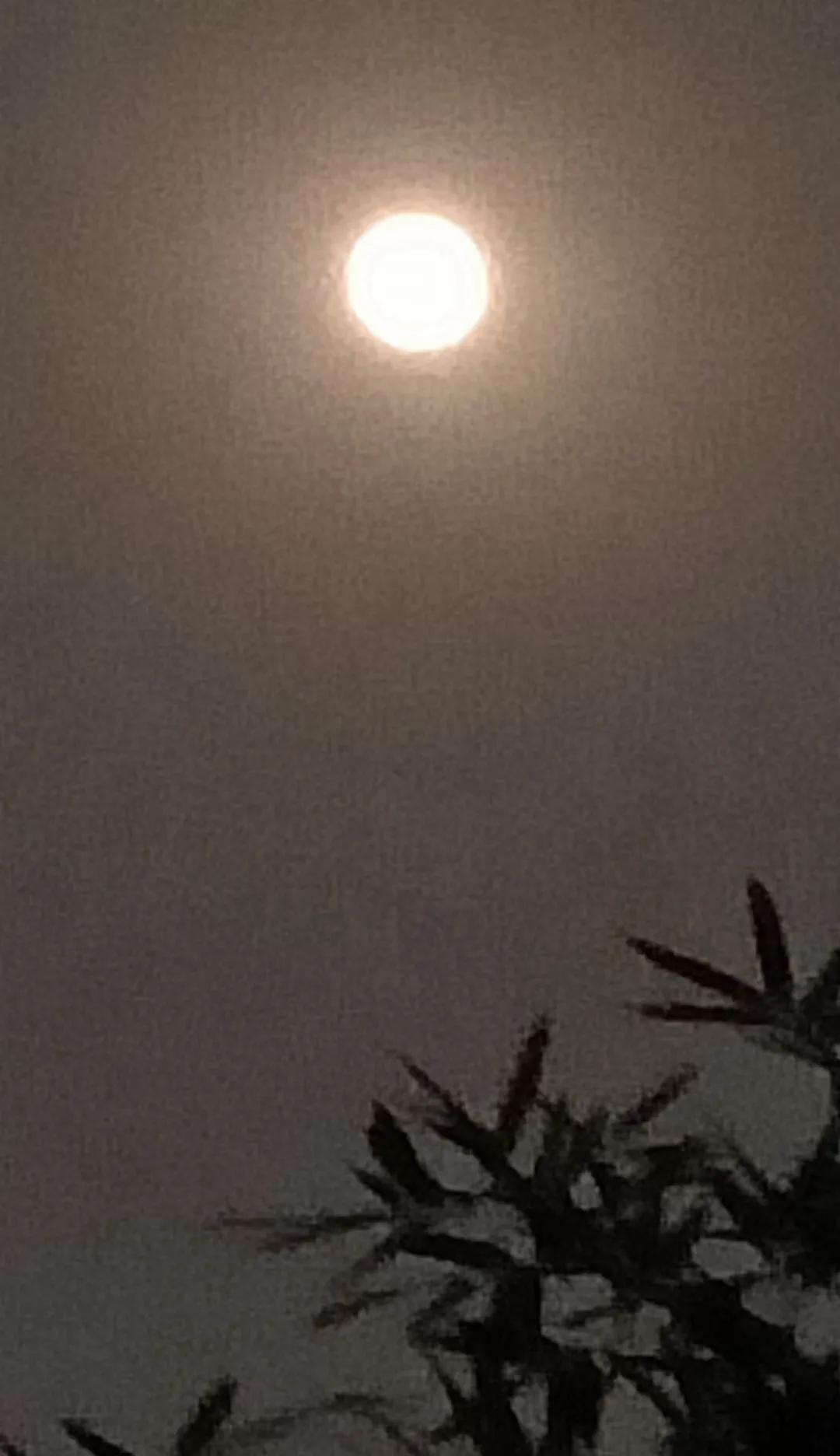 月亮还是家乡的圆,月亮圆还是家乡圆