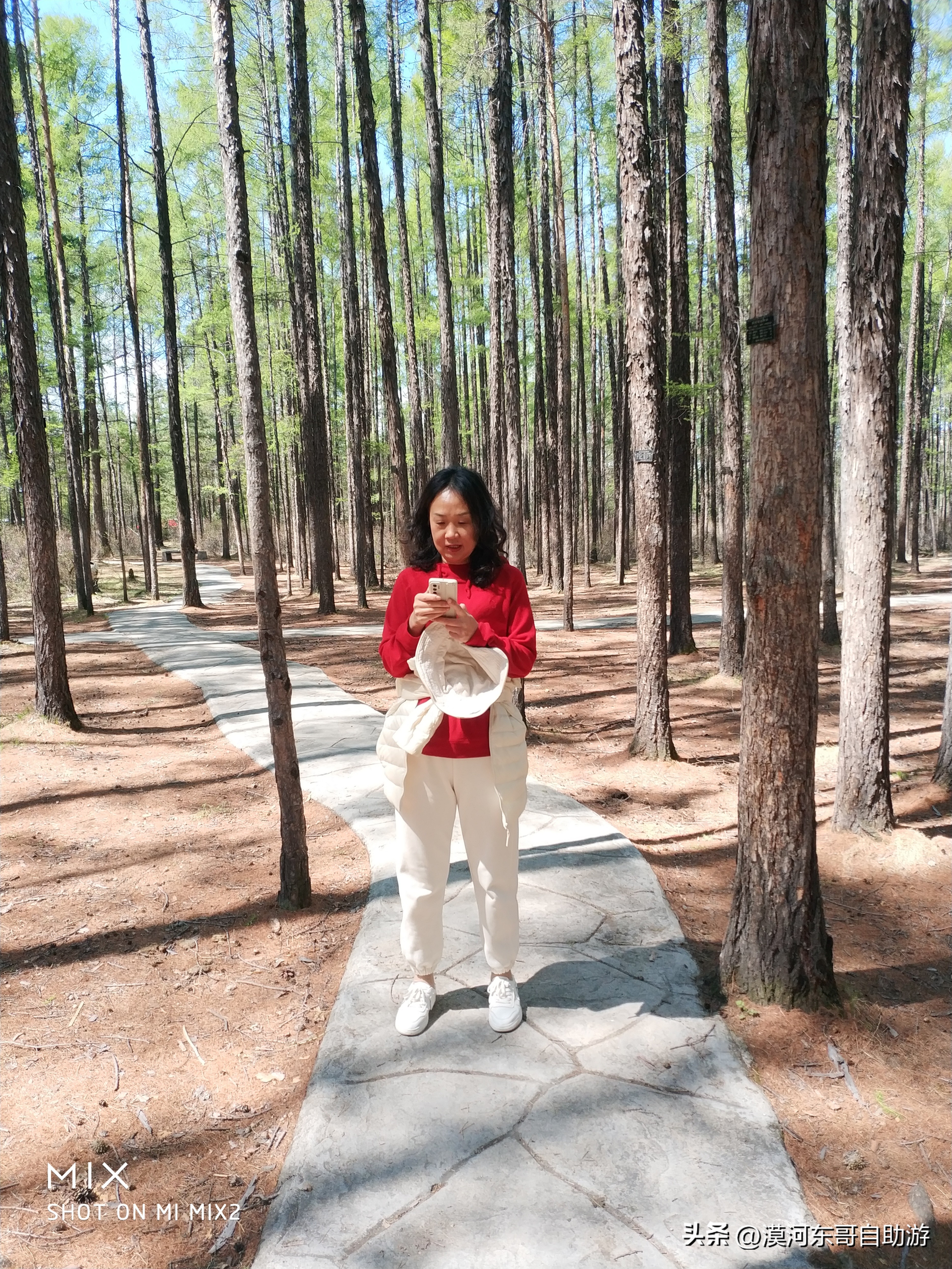 带你去看杜鹃花完整版,漠河旅游攻略一览表