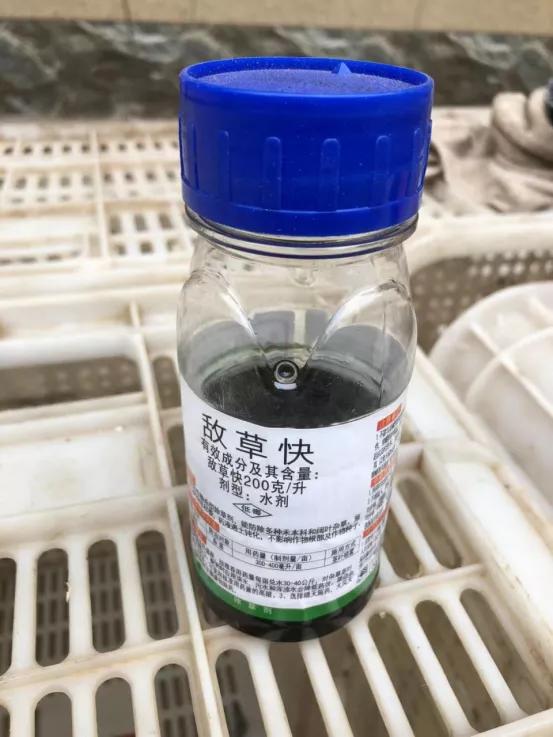 邯郸一15岁女孩疑因被父母没收手机服下半瓶“敌草快”