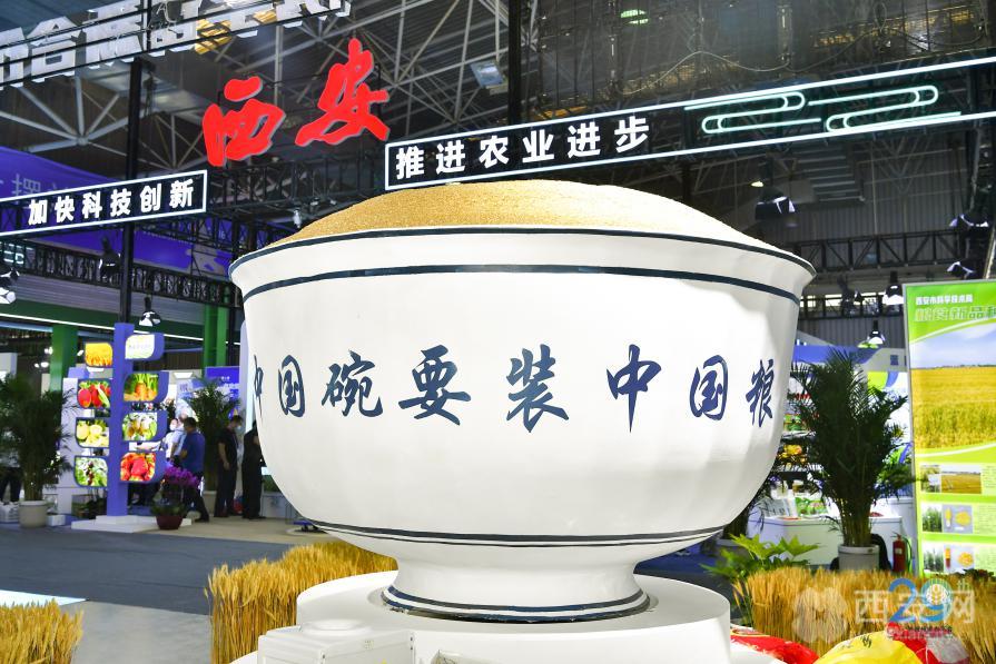 西安农高会最新报道,西安农高会活动