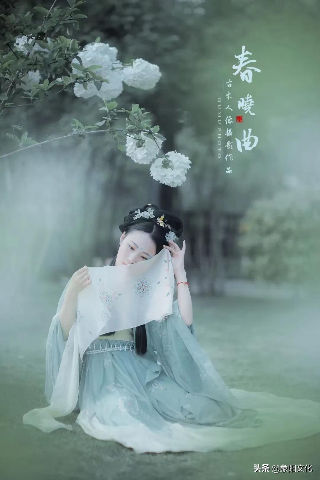 诗词摄影鉴赏,摄影古诗欣赏