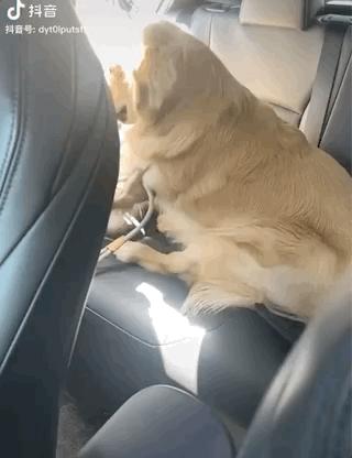 濂崇敓鍋氳揣鎷夋媺鍙告満,濂冲瀛愬仛鍙告満璺戣揣鎷夋媺