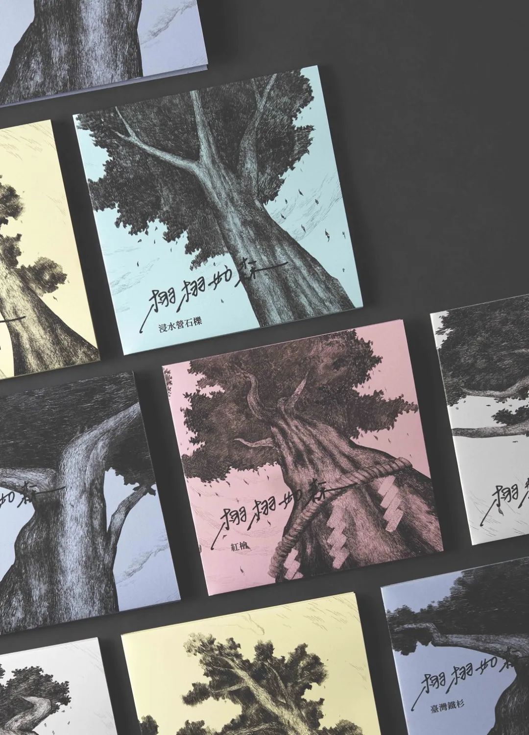 2022韩国K-设计大奖包装作品