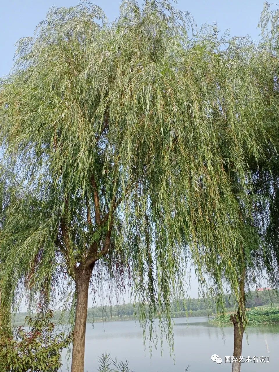 国粹艺术名家刘福生,海丰陈汉洲书法