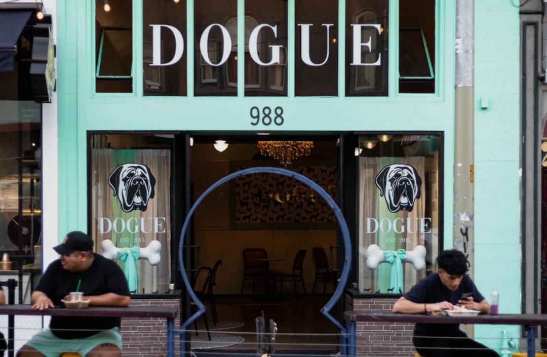 千亿宠物市场规模多大,当前宠物市场的市场规模与前景