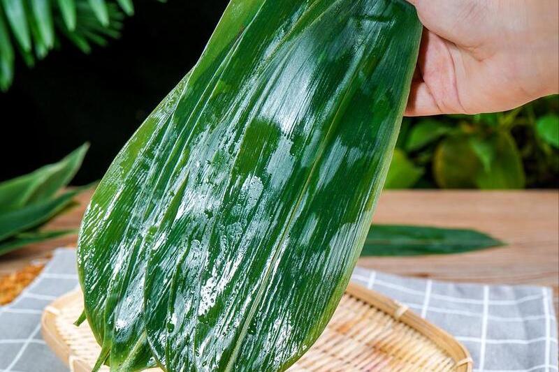 煮粽叶，只用水煮就“废了”，多做2步，粽叶更清香，柔软韧性强